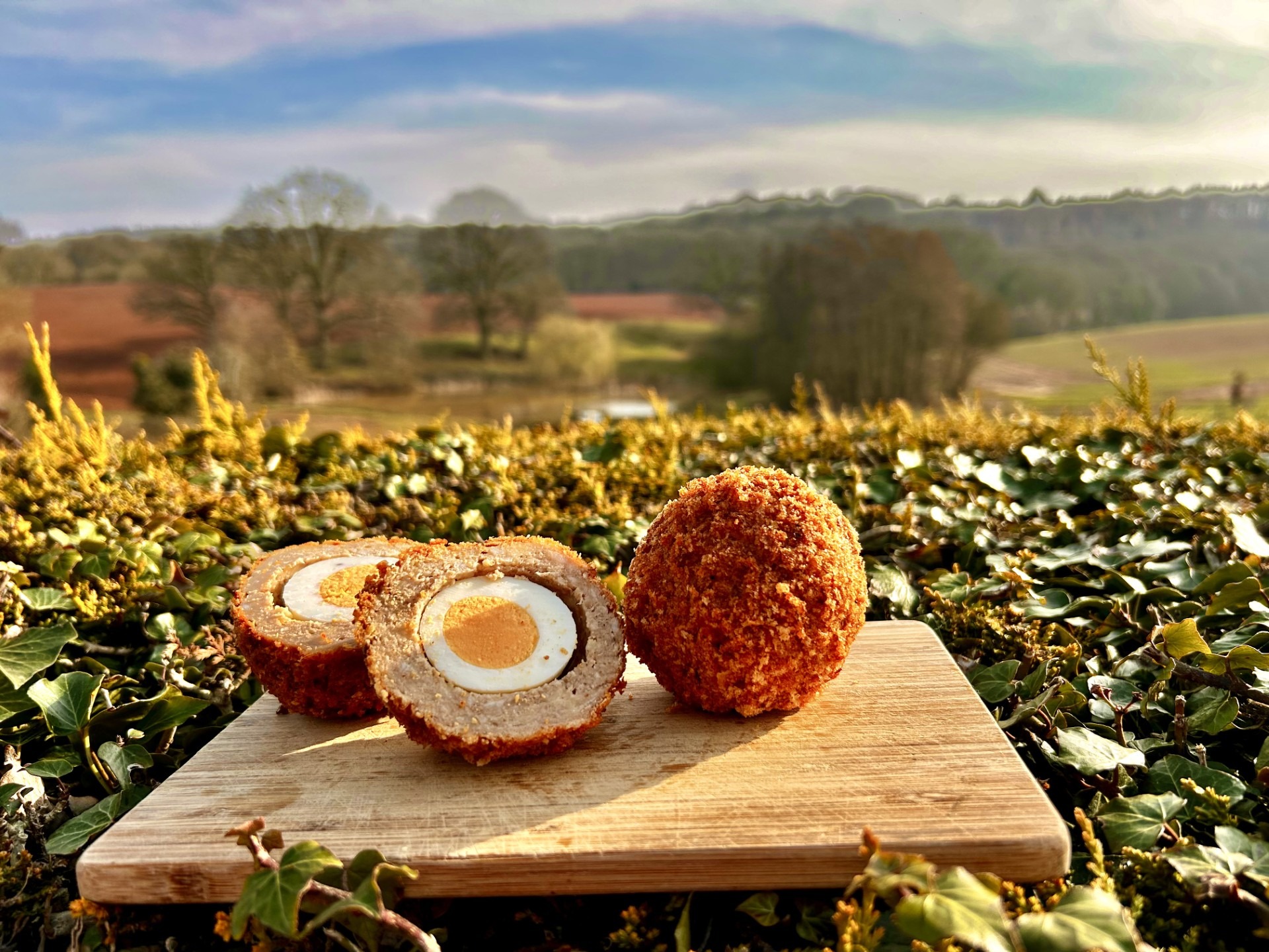 ploughman's Scotch Egg